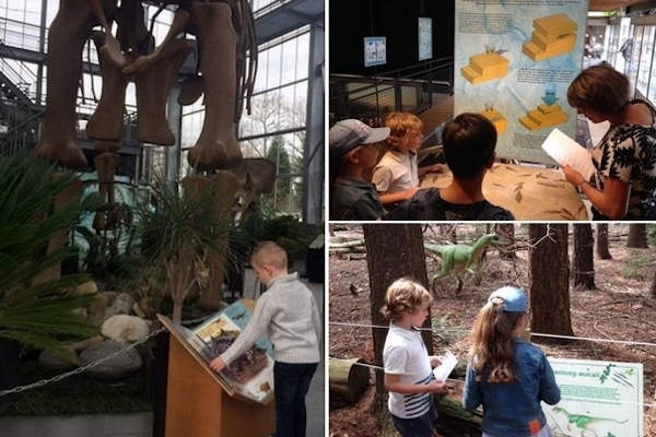 Oertijdmuseum Boxtel: Veel te doen en leren voor kinderen