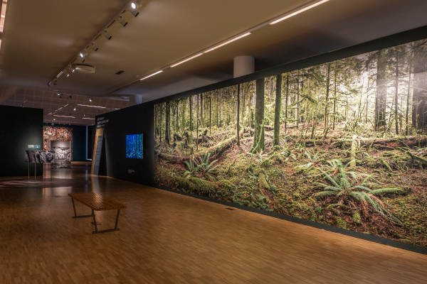 Expositie Antropoceen bij Museum Helmond