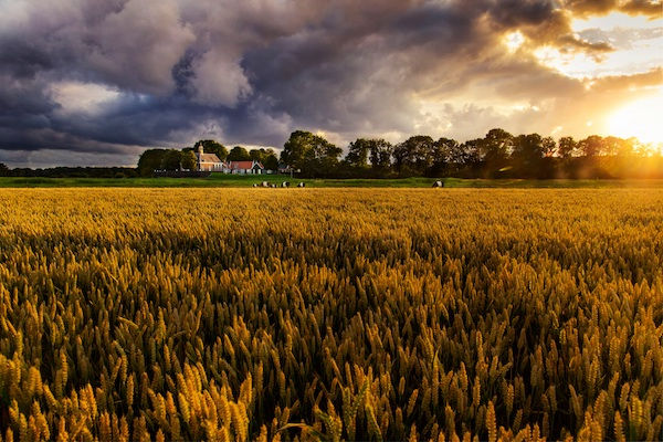 Wandel in de voetsporen van onze voorouders