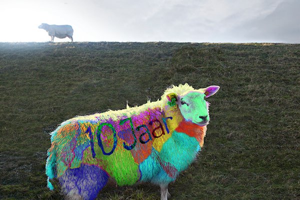 Kunstkijk Goeree Overflakkee in Ooltgensplaat