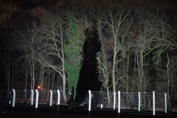 Nationaal Monument Kamp Vught: Schaduw op de bomen