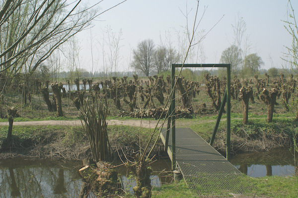 Ga op ontdekking door de Biesbosch