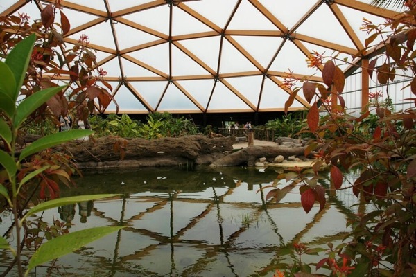 Het prachtige nieuwe Amazonica vol vlinders