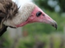 Dagje uit naar de leukste Vogelparken van Nederland