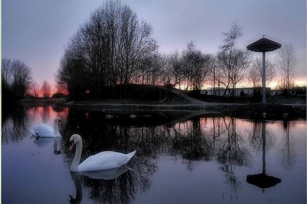 Speelnatuur Le Roy: Zonsondergang