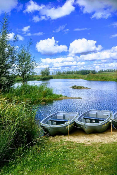 Varen