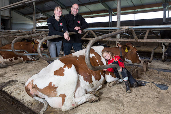 De Elza Hoeve: Koe knuffelen