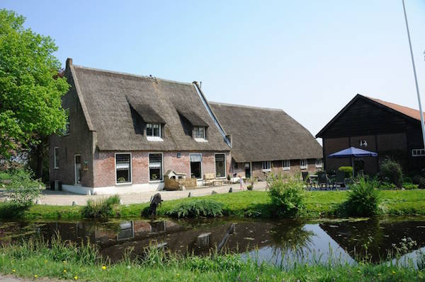 Boerderij de Elza Hoeve in Leiden, leuk voor koeknuffelen en je kinderpartijtje