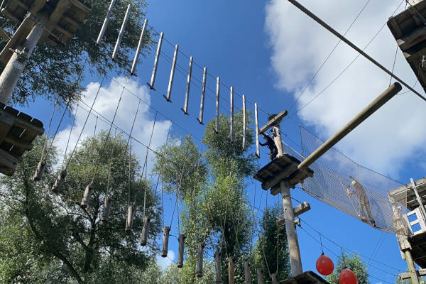 Hoog in de bomen