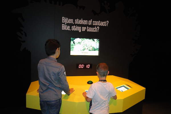 Naturalis spelletje over Gif!