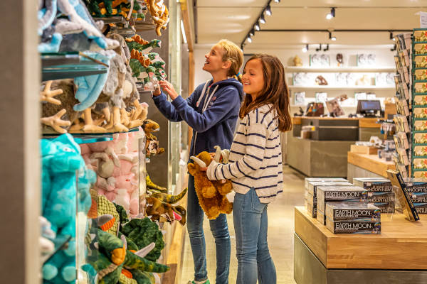 Knuffeldieren schap in de winkel