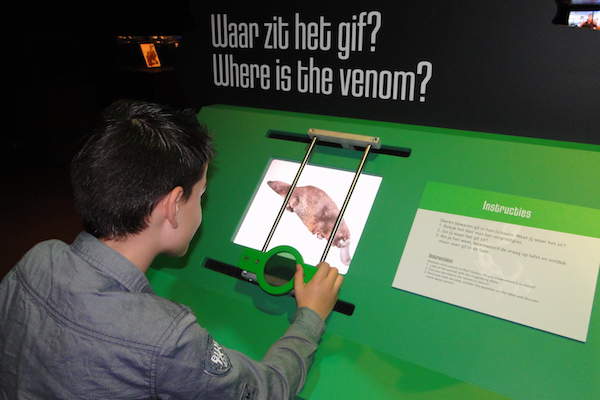 Waar zit het gif? Spelletje bij Naturalis