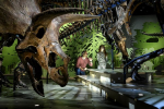 Afbeelding van Naturalis Biodiversity Center