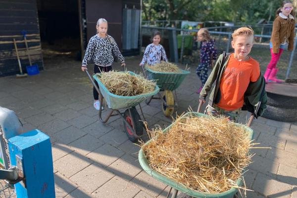 Verzorg samen de dieren op de boerderij