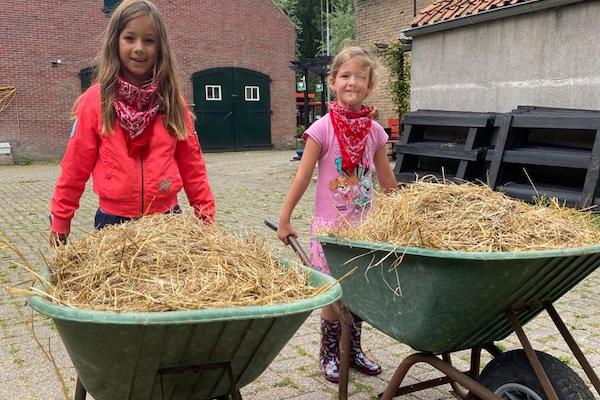 Voer samen de dieren op de boerderij