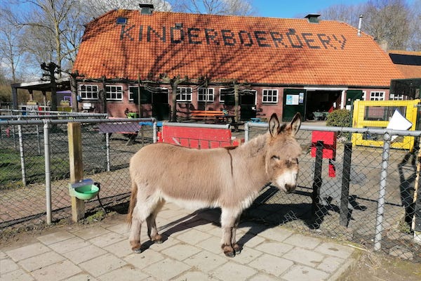 Kinderboerderij de Klepperhoeve