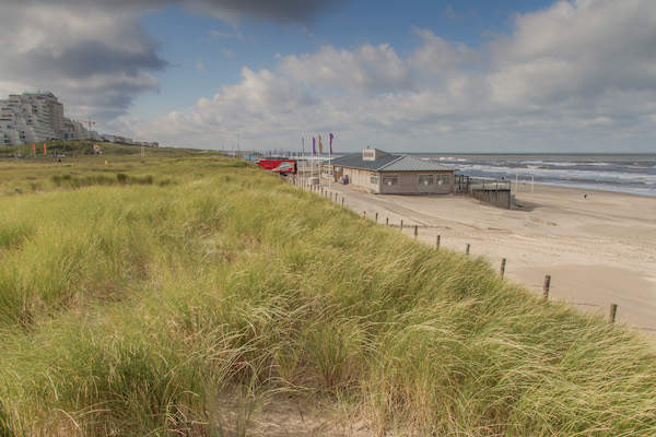 Strand Noordwijk: Duinen Noordwijk