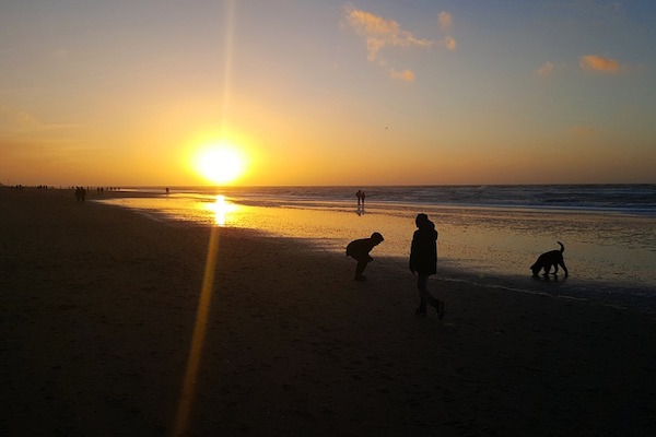 Heerlijke avondwandeling op het strand van Texel