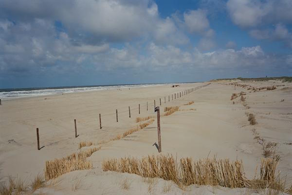 Strand Texel: 30 kilometer strand