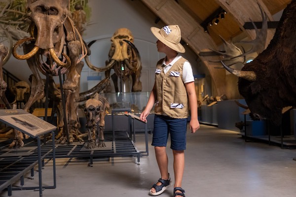 Terug in de tijd van de dino