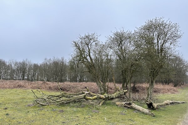 Je kunt de kinderen even goed uit laten razen in de natuur