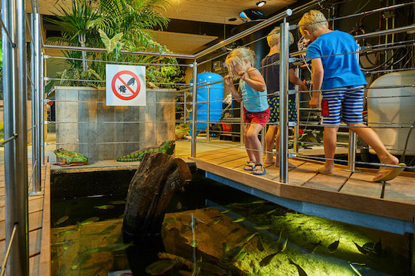 Kijken naar de vissen vanaf de loopbrug