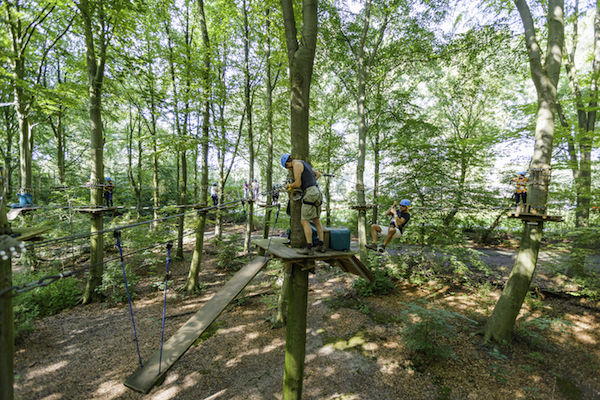 Klimpark Fun Forest Venlo: Overwin alle obstakels