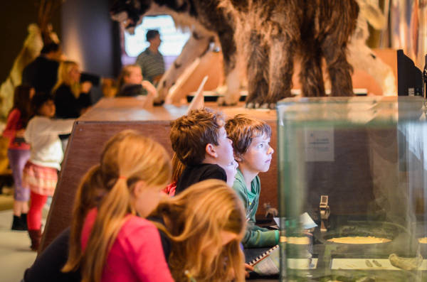 Kinderen kijken hun ogen uit