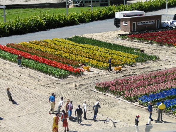 De bloemenvelden