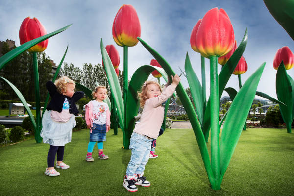 Peuters bij de tulpen