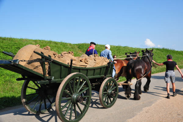 Landbouwmuseum Tiengemeten in Zuid-Beijerland