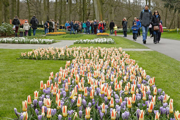 De Keukenhof is een prachtig voorbeeld vol met leuke ideeën voor in je eigen tuin.