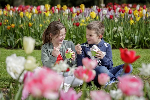 Geniet samen van een heerlijk ijsje in de zon