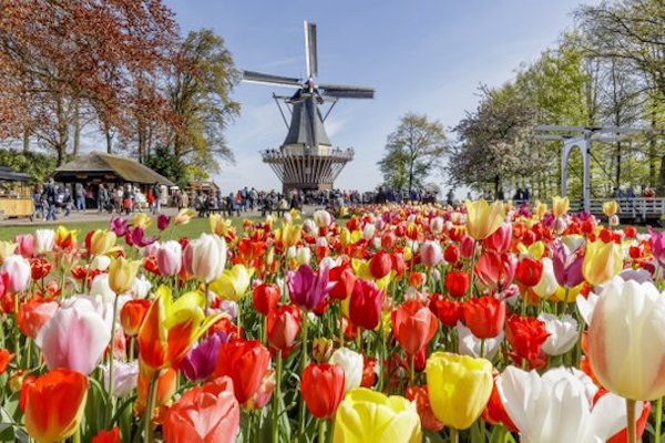 Ruim 32 hectare aan geur en kleur