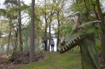 Afbeelding van BillyBird Drakenrijk