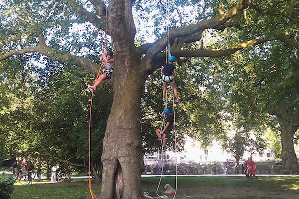 The Treeclimbing Company: Beleef een spannende ochtend of middag boomklimmen