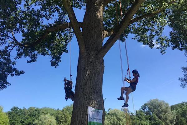 The Treeclimbing Company: Klim samen met een ervaren instructeur hoog de boom