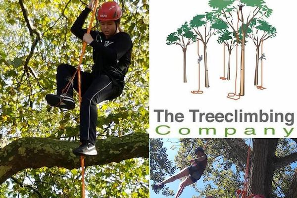The Treeclimbing Company: Geniet van de actie en het uitzicht