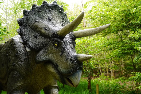 Tricaratops