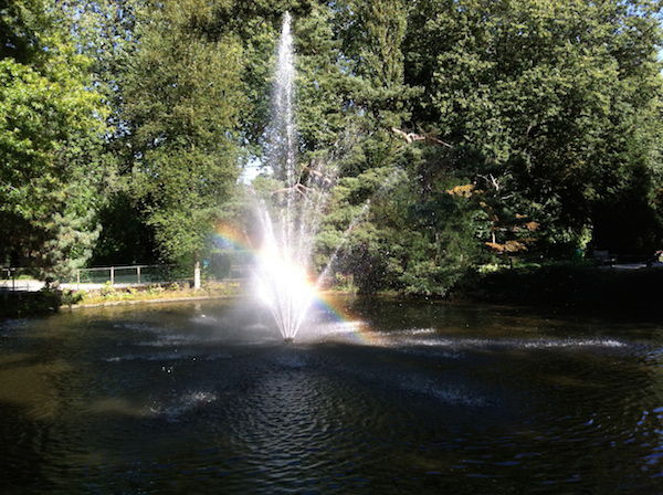 Fontein met prachtige regenboog bij Plaswijckpark