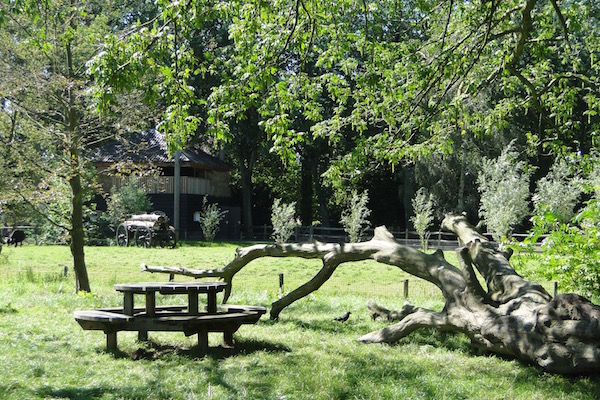 Picknickweide bij Plaswijckpark