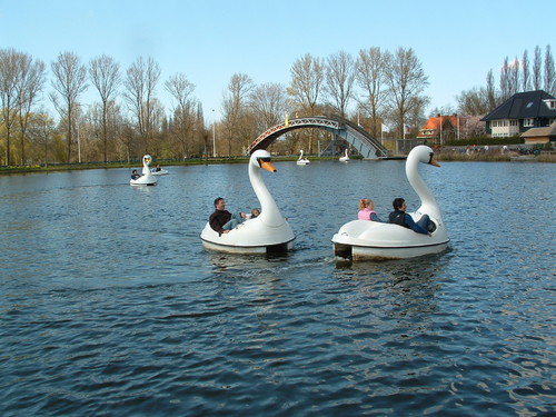 Varen in de Zwanen