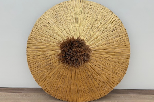 Rieten kunstwerk
