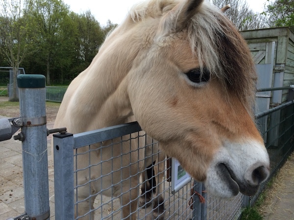 Ontmoet de dieren van heel dichtbij