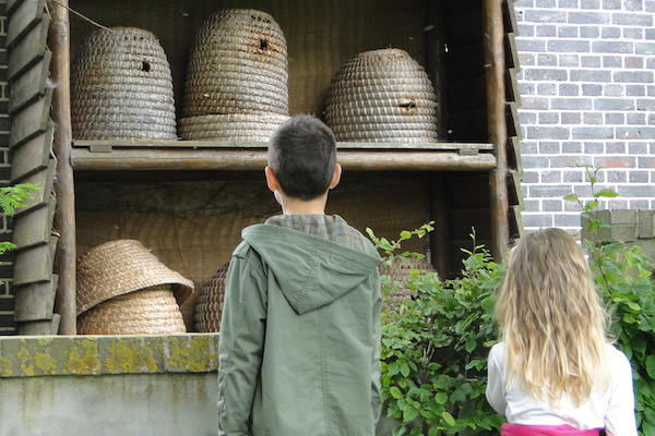 Kids bij de bijenkorven