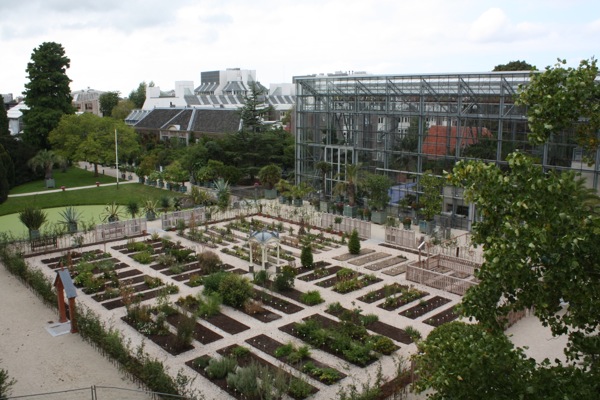 Hortus Botanicus Leiden vanuit de Lucht