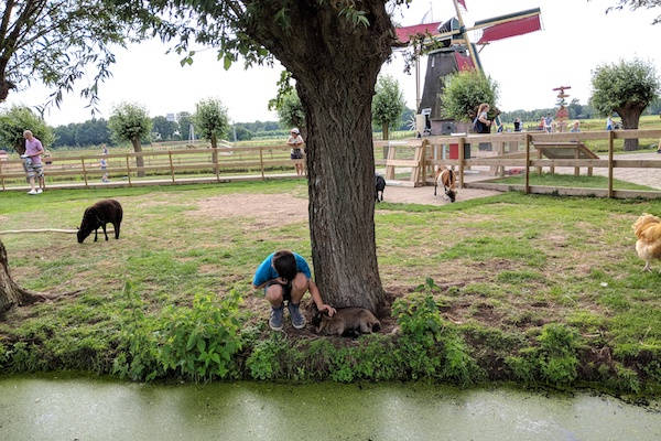 Ontdek, ontmoet en beleef het leven van de geit en het konijn