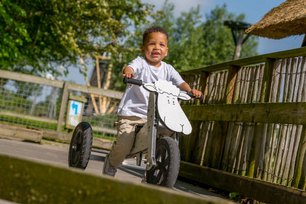 Op de loopfiets