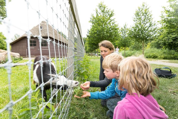 Neem een kijkje bij alle schapen, geiten en lieve varkens