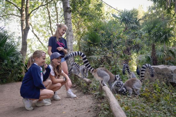 Kinderen bewonderen de dieren van dichtbij